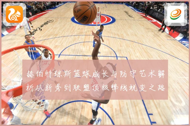 赫伯特琼斯篮球成长与防守艺术解析从新秀到联盟顶级锋线蜕变之路