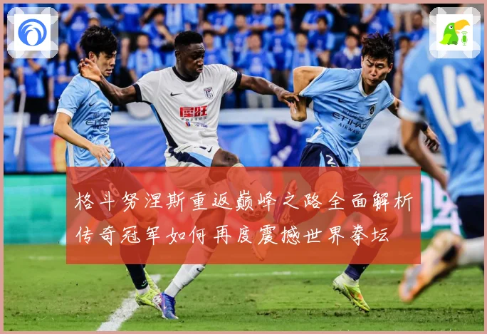 格斗努涅斯重返巅峰之路全面解析传奇冠军如何再度震撼世界拳坛