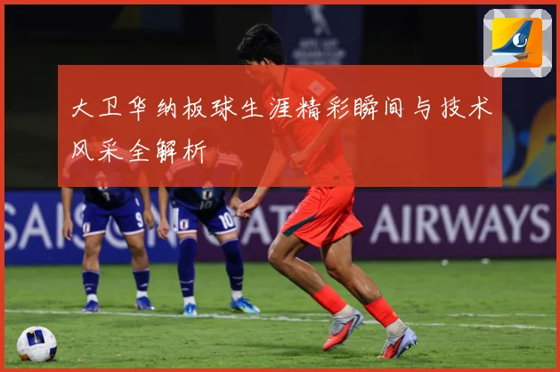 大卫华纳板球生涯精彩瞬间与技术风采全解析